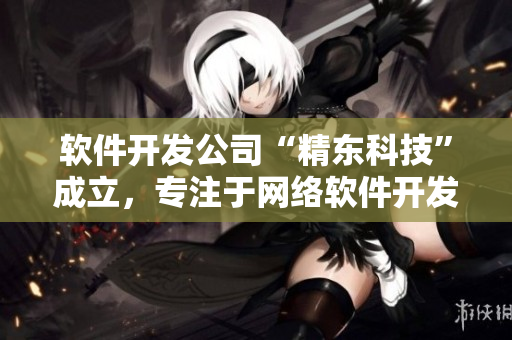 软件开发公司“精东科技”成立，专注于网络软件开发和管理
