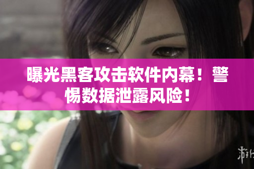 曝光黑客攻击软件内幕！警惕数据泄露风险！