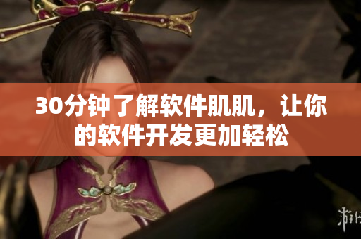 30分钟了解软件肌肌，让你的软件开发更加轻松