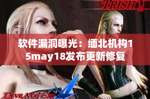 软件漏洞曝光：缅北机构15may18发布更新修复