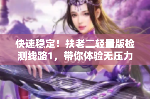 快速稳定！扶老二轻量版检测线路1，带你体验无压力的网络检测