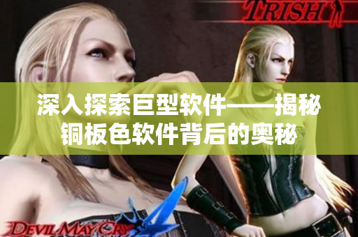 深入探索巨型软件——揭秘铜板色软件背后的奥秘