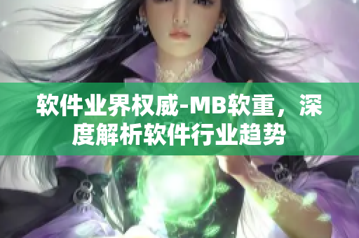 软件业界权威-MB软重，深度解析软件行业趋势