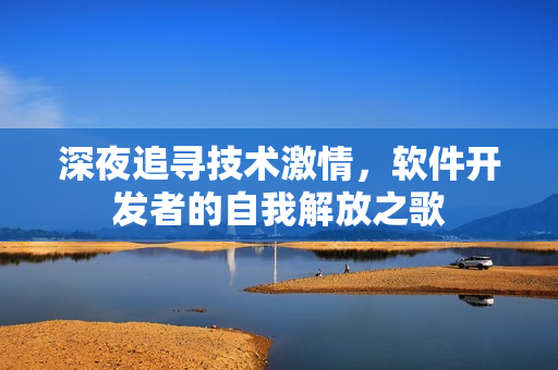 深夜追寻技术激情，软件开发者的自我解放之歌