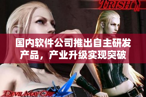 国内软件公司推出自主研发产品，产业升级实现突破