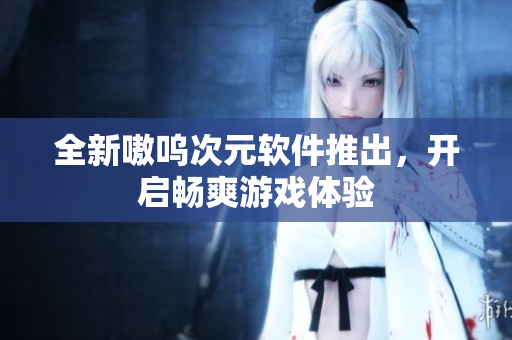 全新嗷呜次元软件推出，开启畅爽游戏体验