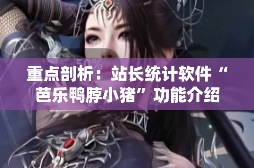 重点剖析：站长统计软件“芭乐鸭脖小猪”功能介绍