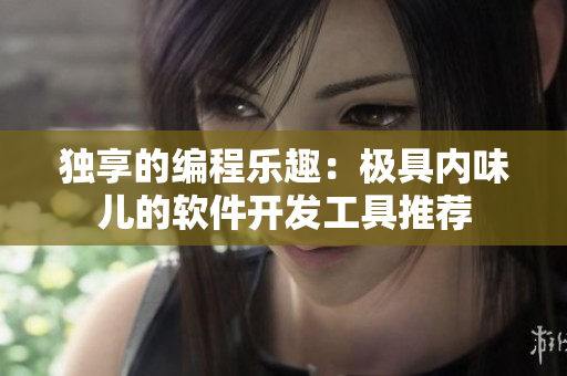 独享的编程乐趣：极具内味儿的软件开发工具推荐