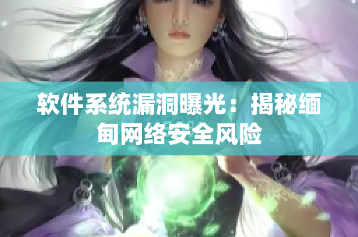软件系统漏洞曝光：揭秘缅甸网络安全风险
