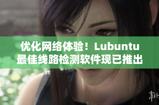 优化网络体验！Lubuntu最佳线路检测软件现已推出新版