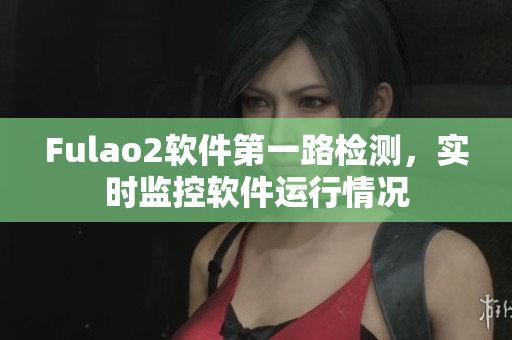 Fulao2软件第一路检测，实时监控软件运行情况
