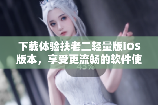 下载体验扶老二轻量版iOS版本，享受更流畅的软件使用