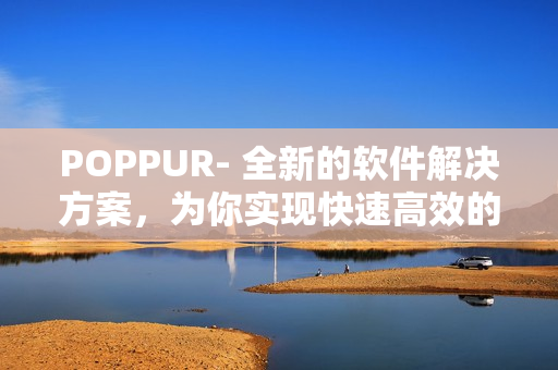 POPPUR- 全新的软件解决方案，为你实现快速高效的工作体验