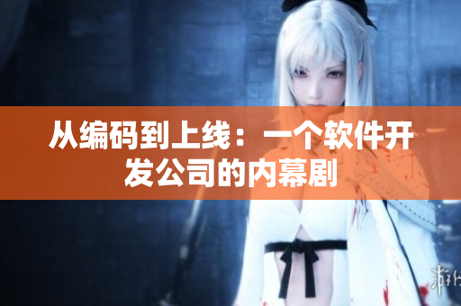 从编码到上线：一个软件开发公司的内幕剧