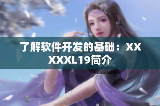 了解软件开发的基础：XXXXXL19简介
