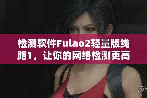 检测软件Fulao2轻量版线路1，让你的网络检测更高效