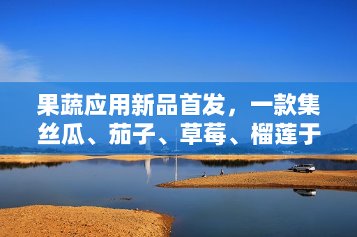 果蔬应用新品首发，一款集丝瓜、茄子、草莓、榴莲于一身的软件亮相！