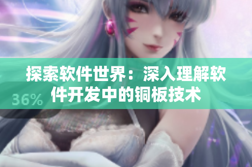 探索软件世界：深入理解软件开发中的铜板技术