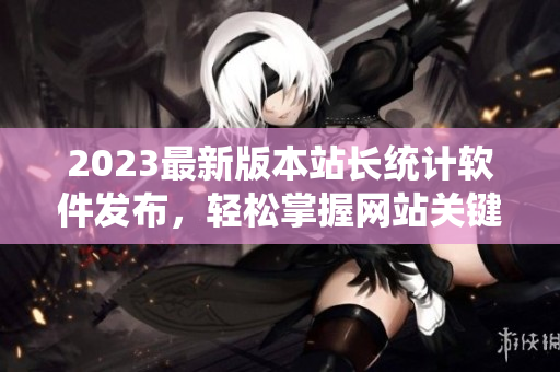 2023最新版本站长统计软件发布，轻松掌握网站关键数据