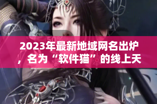 2023年最新地域网名出炉，名为“软件猫”的线上天地