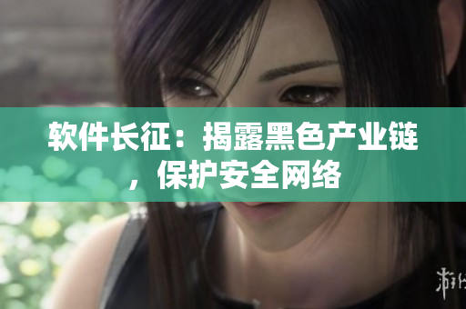 软件长征：揭露黑色产业链，保护安全网络