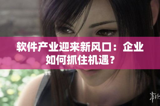 软件产业迎来新风口：企业如何抓住机遇？
