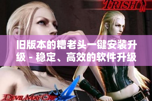 旧版本的糟老头一键安装升级 - 稳定、高效的软件升级体验