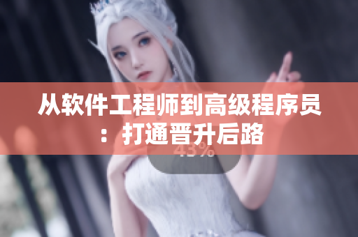 从软件工程师到高级程序员：打通晋升后路