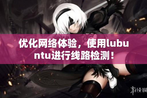 优化网络体验，使用lubuntu进行线路检测！