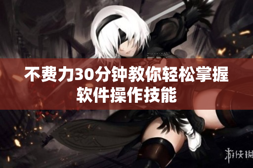 不费力30分钟教你轻松掌握软件操作技能