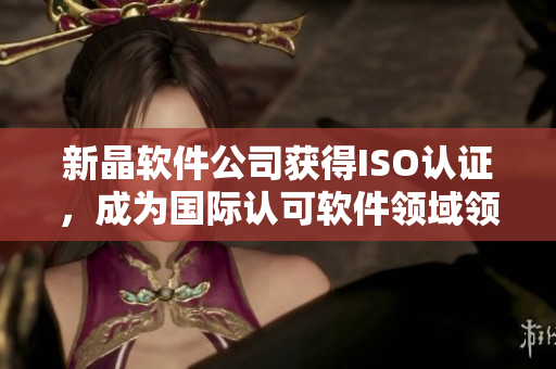 新晶软件公司获得ISO认证，成为国际认可软件领域领先企业