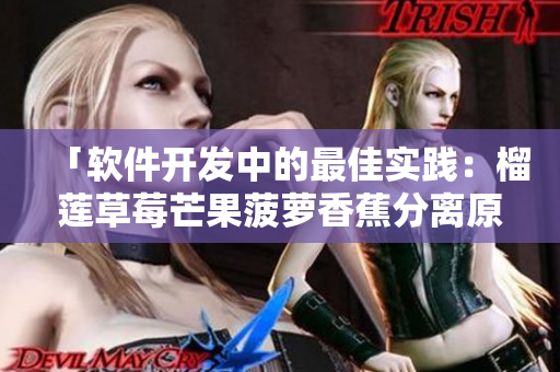 「软件开发中的最佳实践：榴莲草莓芒果菠萝香蕉分离原则」