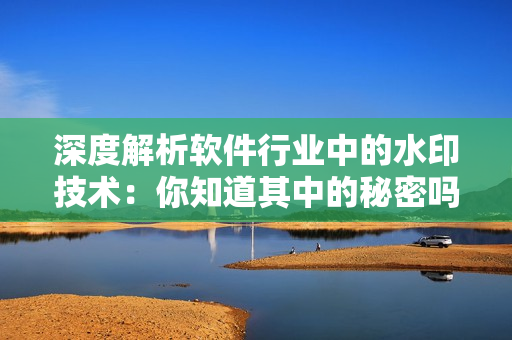 深度解析软件行业中的水印技术：你知道其中的秘密吗？