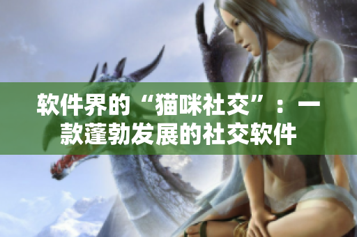 软件界的“猫咪社交”：一款蓬勃发展的社交软件