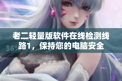 老二轻量版软件在线检测线路1，保持您的电脑安全