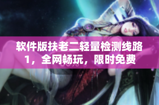 软件版扶老二轻量检测线路1，全网畅玩，限时免费