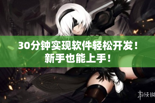30分钟实现软件轻松开发！新手也能上手！