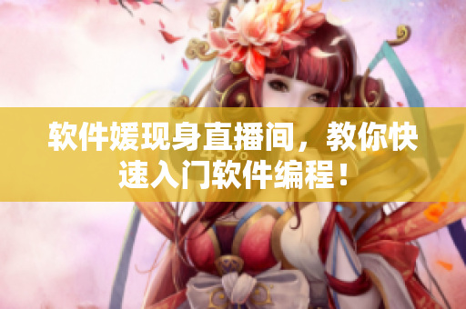 软件媛现身直播间，教你快速入门软件编程！