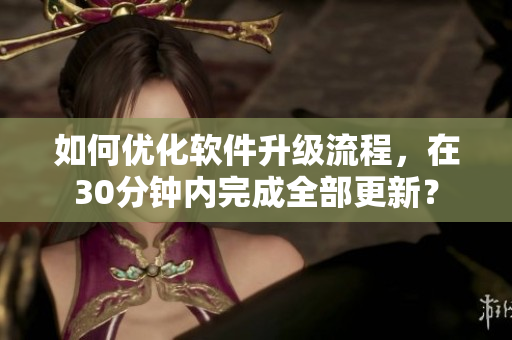 如何优化软件升级流程，在30分钟内完成全部更新？