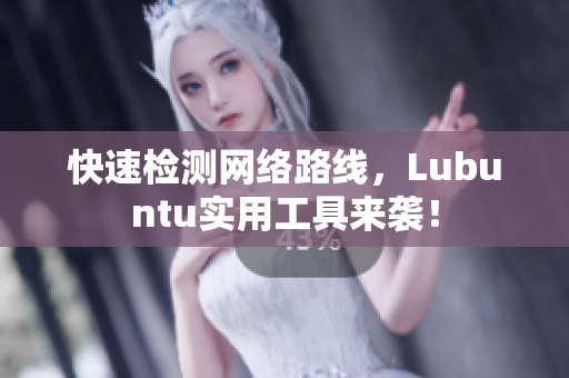 快速检测网络路线，Lubuntu实用工具来袭！