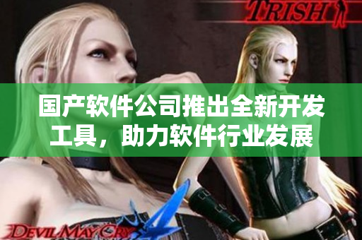 国产软件公司推出全新开发工具，助力软件行业发展