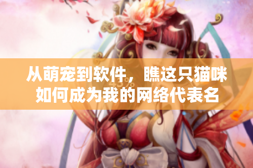 从萌宠到软件，瞧这只猫咪如何成为我的网络代表名