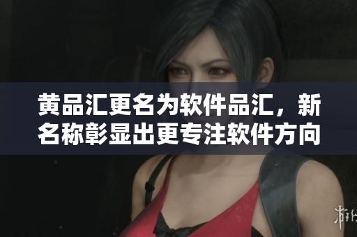 黄品汇更名为软件品汇，新名称彰显出更专注软件方向！