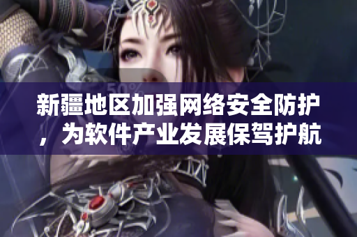 新疆地区加强网络安全防护，为软件产业发展保驾护航