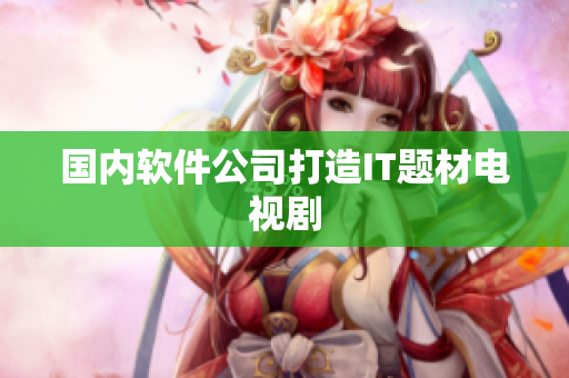 国内软件公司打造IT题材电视剧