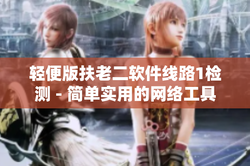 轻便版扶老二软件线路1检测 - 简单实用的网络工具