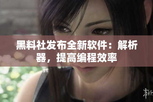 黑料社发布全新软件：解析器，提高编程效率