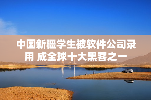 中国新疆学生被软件公司录用 成全球十大黑客之一