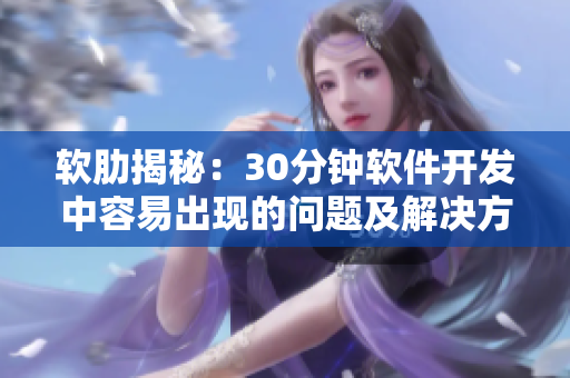 软肋揭秘：30分钟软件开发中容易出现的问题及解决方案