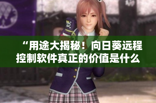 “用途大揭秘！向日葵远程控制软件真正的价值是什么？”